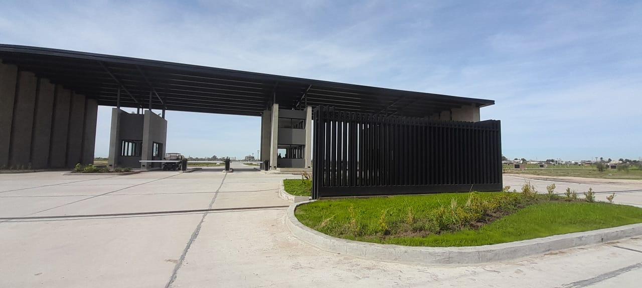 WhatsApp Image 2025-09-16 at 16.12.31