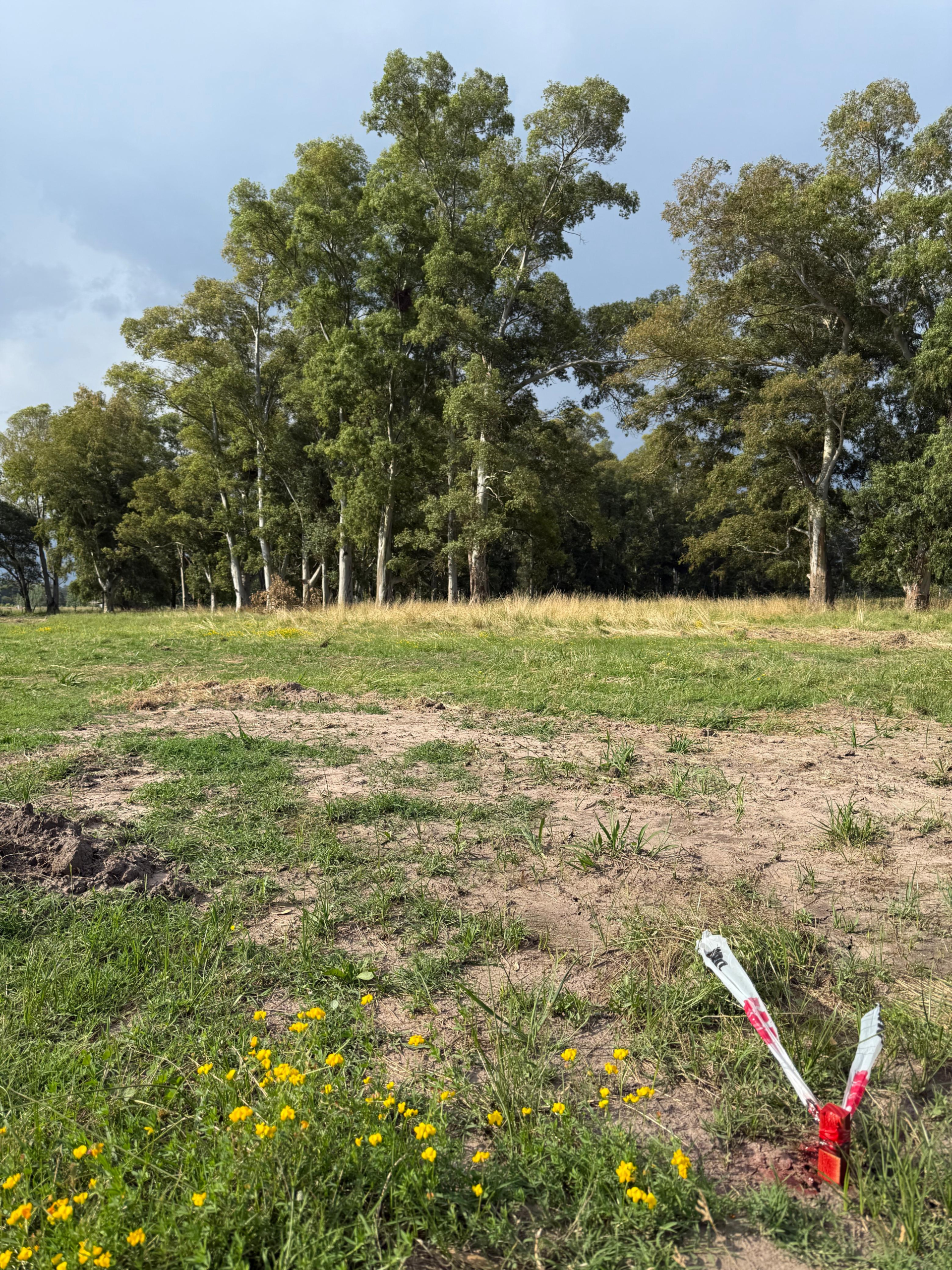 Lote en venta con escritura en Cañuelas