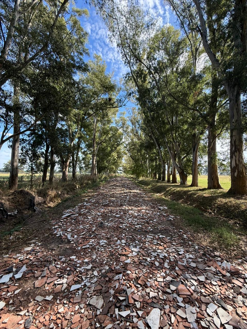 Lote en venta con escritura en Cañuelas