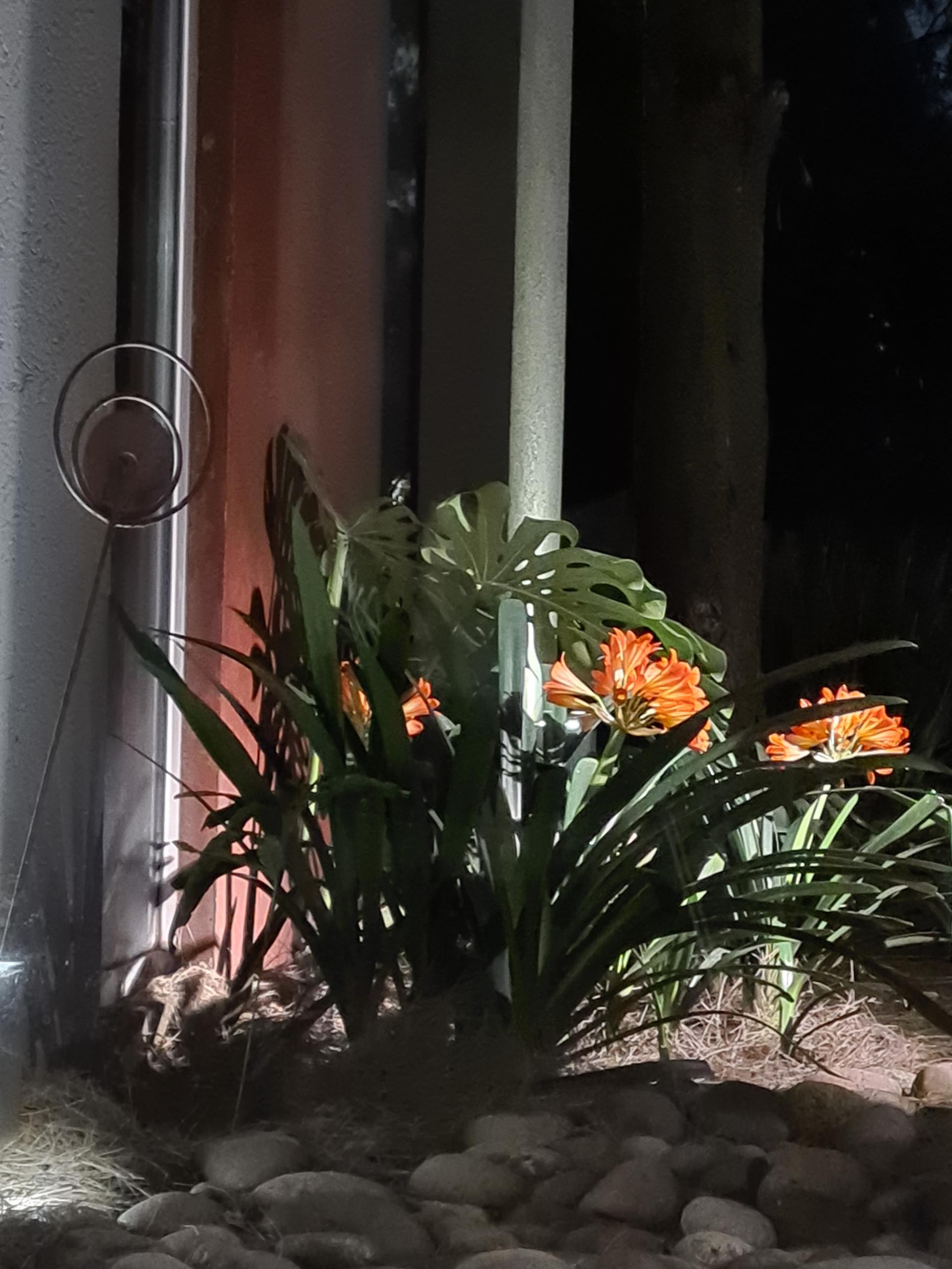 Casa en alquiler temporal en Ezeiza La Deseada amoblada