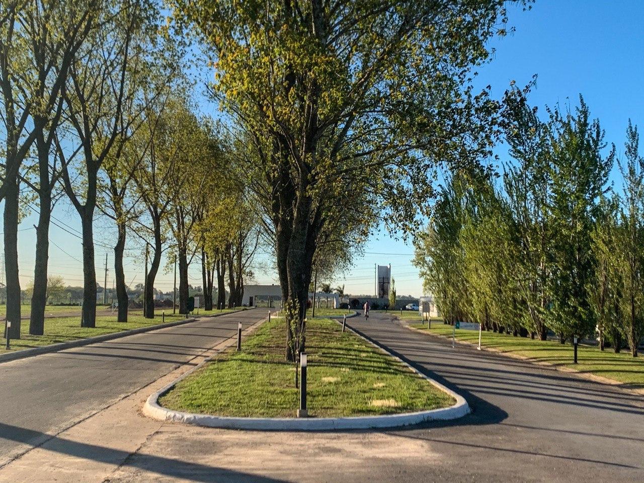 Venta de Lote en La Alameda Canning